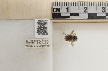 Media type: image;   Entomology 788244 Aspect: Labels